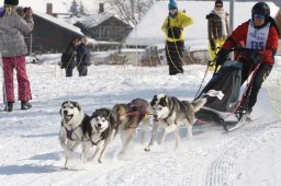 Lenk 2012 SM